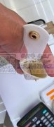 寻能做这款口红包的加工厂 如图