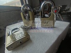 本厂有热室锌合金压铸，168T.138T