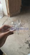 专业成接各种发夹上弹簧