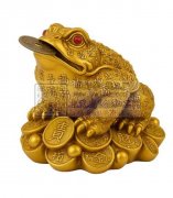 图上成品产品需要做，找寻成品工厂，