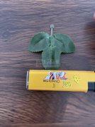 采购图上这个树叶，谁家有这种树叶？