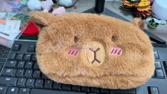 毛绒产品 如图，数量2000个，包工包料4块钱能做的联系