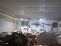 承接毛绒玩具，订单，加工