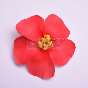 eva扶桑花仿真花加工厂、定型