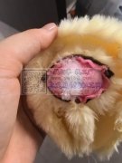 我需要一家后宅附近并且做过类似的加工厂帮