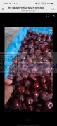 荷叶塘或后宅附近有没有做树脂抛光的能上亮