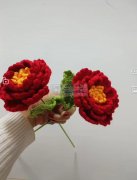 本厂有毛线手工制作的各种各样的花