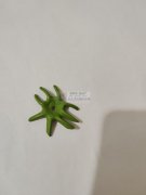 如图所示，寻找做这种皮革花朵的工厂