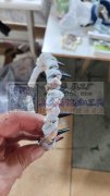 如图交叉结，数量30000个，工期一个星