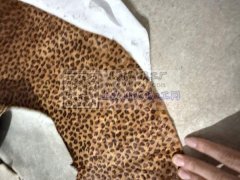 大量求购如图真马毛有货的速度联系我价优的