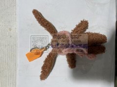 找专业加工毛绒布艺挂件、玩具的加工点