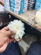 如图，寻找能做这个成品的厂，包工包料