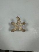 如图所示这几款饰品需要做，寻找工厂做