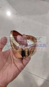 如图手镯压铸外发，寻找压铸加工厂，谁家有