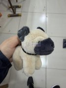 找专业生产毛绒玩具的工厂