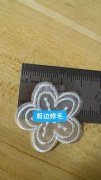 如图欧根纱小花修剪毛边外发，有能做的联系