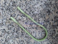 加工如图线滴胶