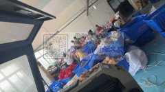 毛绒玩具、玩具厂家直供