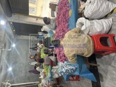 专业上发夹弹簧，有固定加工厂！