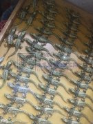 本厂承接各种饰品点钻加工，价格实惠，诚信