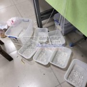 专业手工剪链条加工，价格便宜精准如果要剪