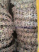 承接点钻加工<br />
专业承接机器