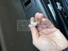 采购配件，20号此款配件