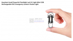 数量每款6W个  找迷你紫外线黑光钥匙扣