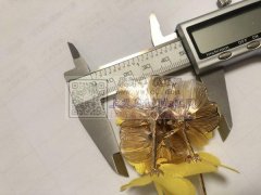 找碰焊加工厂，材料是电脑片，会做的来