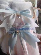 大量蝴蝶结打胶枪外发【常年有货】