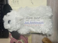 毛绒玩偶笔袋报价，包工包料，义乌周边工厂