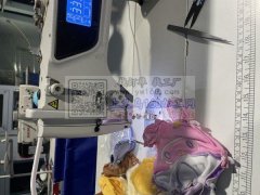 江西1000平方毛绒玩具加工厂，以为质量