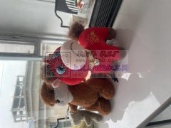 江西1000平方毛绒玩具加工厂，以为质量