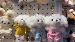 大量需要这类毛绒玩具，长期要各种毛绒玩具