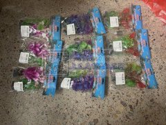 承接各种手工包装，组装，塑料假花制作！