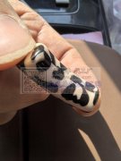 印花外发，找下能印这个花纹的加工厂，