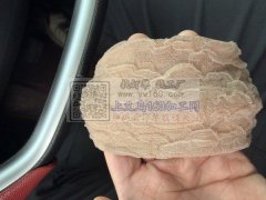 求购图上这个布料，寻找这款布料厂家