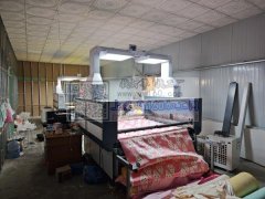 十四年毛绒玩具工厂，支持来图打样，欢迎看