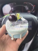 采购小蛋糕模型，一次1万左右