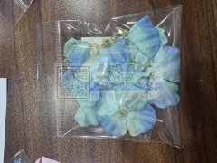 挂圈，长期合作，能赶货