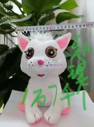 17000产品处理6元，成品不含运