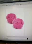 如图产品，有单！​寻找会做此款产品的工厂，