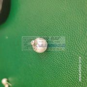 【实单】可发外地，寻做类珍珠粘耳塞的加工厂，