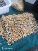 电话，专业加工剪链条？