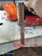 专业加工剪链条