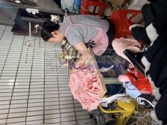 40号人找加工业务，有锁眼，钉扣，多针机