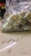 烧焊外发，下骆宅附近<br />
<b