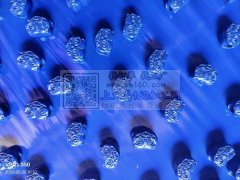 本厂承接&nbsp;合金配件.塑料.夹摸