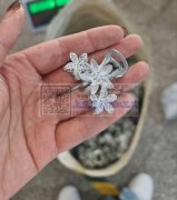 专业承接各类饰品点钻点配件，挂圈，弯针，