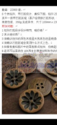 木纽扣凹陷工艺&nbsp;13万颗&nb